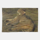 Recherche de chats sauvages cuisine linges Chat sauvage