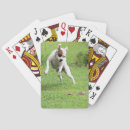 Recherche de flottant jeux de cartes Animal