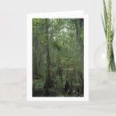 Search for swamp cards Bayou