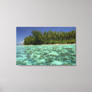 Search for polynesia canvas prints Tropical