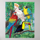 Recherche de perroquet tropical posters Cockatoo