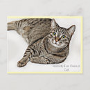 Search for tabby postcards Animals