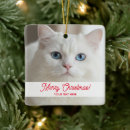 Search for white cat ornaments Kitty