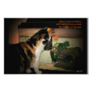 Recherche de chat curieux posters Poisson rouge