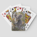 Search for koala bear playing cards Marsupial