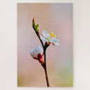 Recherche de floral japonais puzzles Printemps