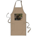 Recherche de grenouille tabliers Amphibie