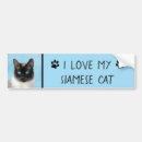Search for siamese cat bumper stickers Cute