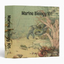 Recherche de crevette bureau fournitures Vie marine