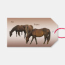 Recherche de paquets Animaux