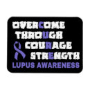 Recherche de lupus magnets Sensibilisation