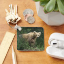 Search for bear family keychains Cub