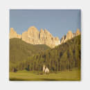 Search for dolomites mountains magnets Italian