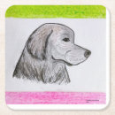 Search for newfoundland coasters Dog