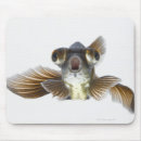 Search for goldfish electronics Swimming