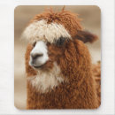 Search for alpacas mousepads Cute