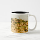 Search for siena mugs Medieval