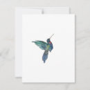 Recherche de de colibri correspondances cartes Nature