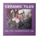 Search for plum purple tiles Pink