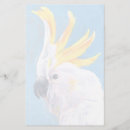 Recherche de mohawk Portrait d'oiseaux