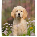 Search for golden retriever shower curtains Dog