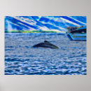 Recherche de faune posters Océan