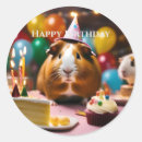 Search for cute guinea pig stickers Birthday