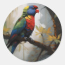Search for lorikeet stickers Rainbow
