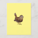 Search for baby birds postcards Ornithology