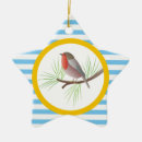 Search for robin ornaments Bird lover