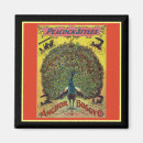 Recherche de paon magnets Antique