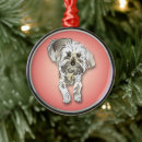 Search for maltipoo ornaments Puppies