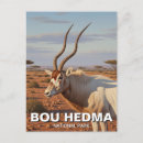 Search for bou Tunisia