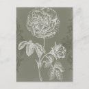 Search for reliefs postcards Grey