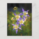 Recherche de columbine cartes postales Colonne bleue