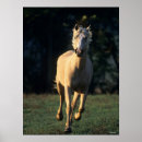 Search for backlit posters Breed