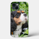 Search for colourful dogs iphone cases Puppies