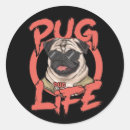 Search for pug mom stickers Puppies