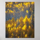 Search for cold season posters Nature