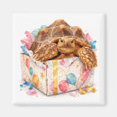 Search for funny turtle magnets Tortoise