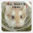 Search for hamster stickers Rodent