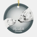 Search for female ornaments Wildlife