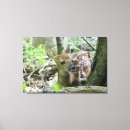 Recherche de faon et l art Cerf
