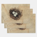 Search for easter egg wrapping paper Vintage