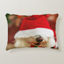 Search for bichon frise dog pillows Animal