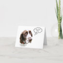 Search for funny springer spaniel Breed