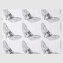 Search for apothecary tissue paper Medical