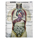 Recherche de anatomie carnets Illustration