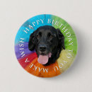 Search for lab” buttons Labrador retriever