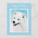Recherche de samoyede cartes postales Samoyé